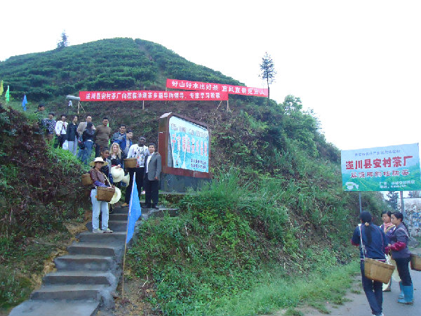 2013010509394321526.jpg